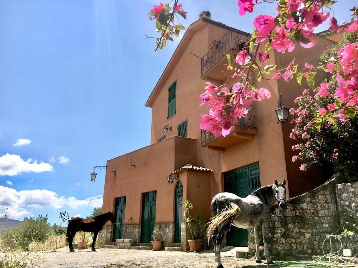 Country Sicily Home Favara Extérieur photo